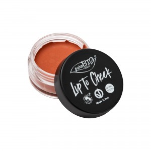Lip to Cheek 01 -  Carrot